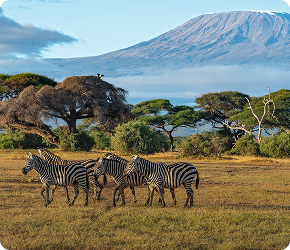 Kenya
